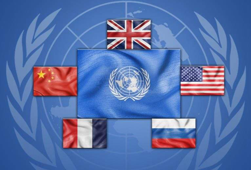 联合国采购出口操作流程