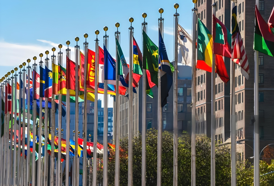 援助项目物流服务