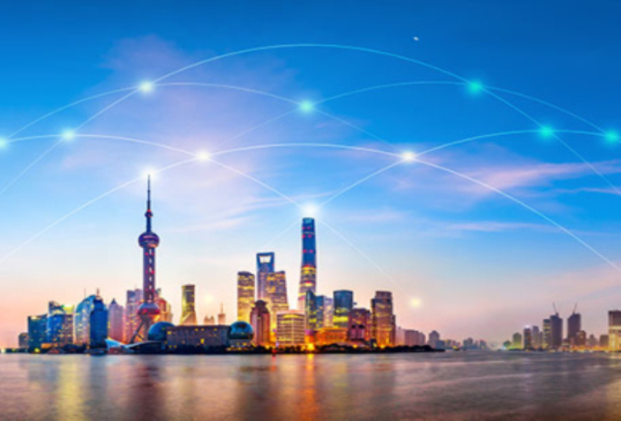 上海国际海运物流公司