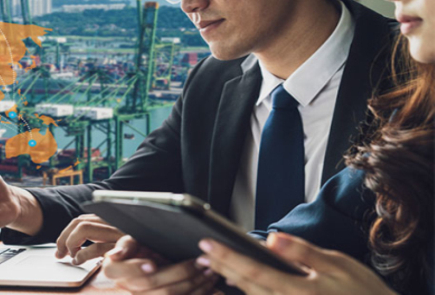 国际海运公司如何找靠谱的？专业指南助您选对合作伙伴