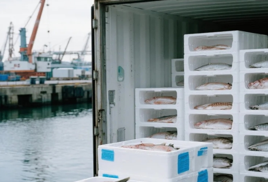 冷链运输清关服务商：专业保障您的温控货物安全通关